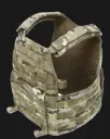 WARRIOR ASSAULT SYSTEMS, DCS Plate Carrier